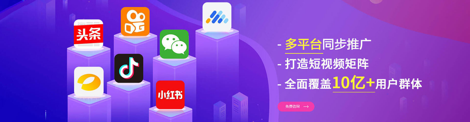 应县竞价排名